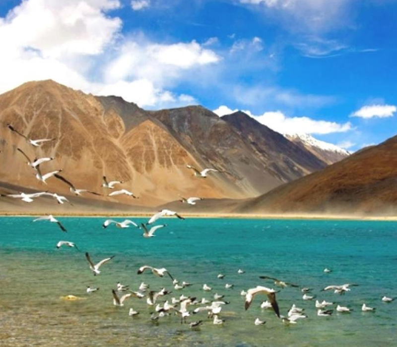 Leh Ladakh Lake | Mafer Holidays